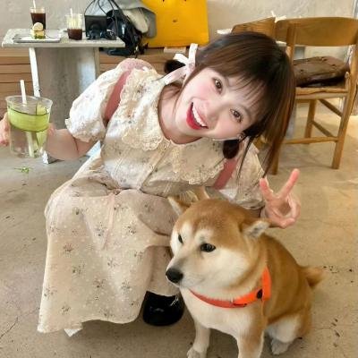 一日晚宴
